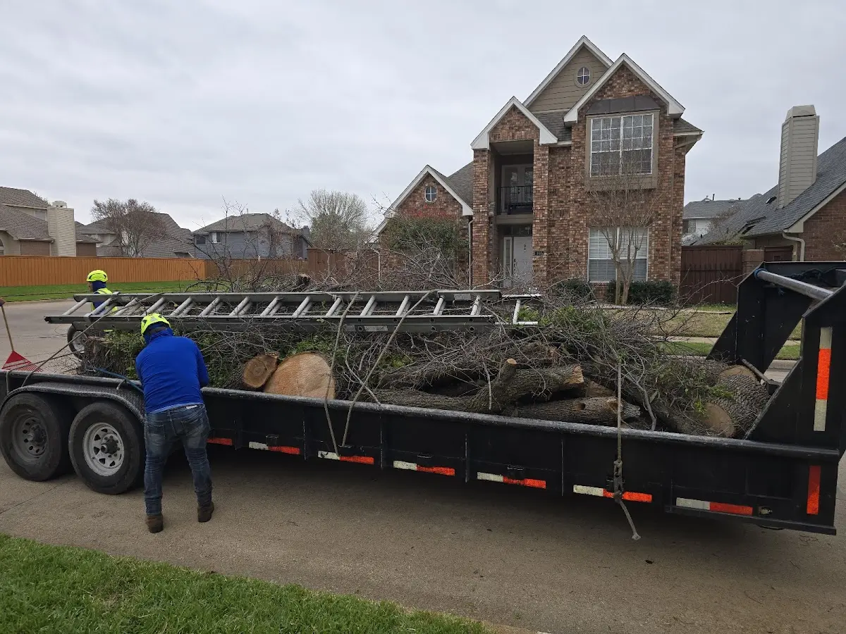 Expert Lot Clearing with proper safety equipment in Quantico